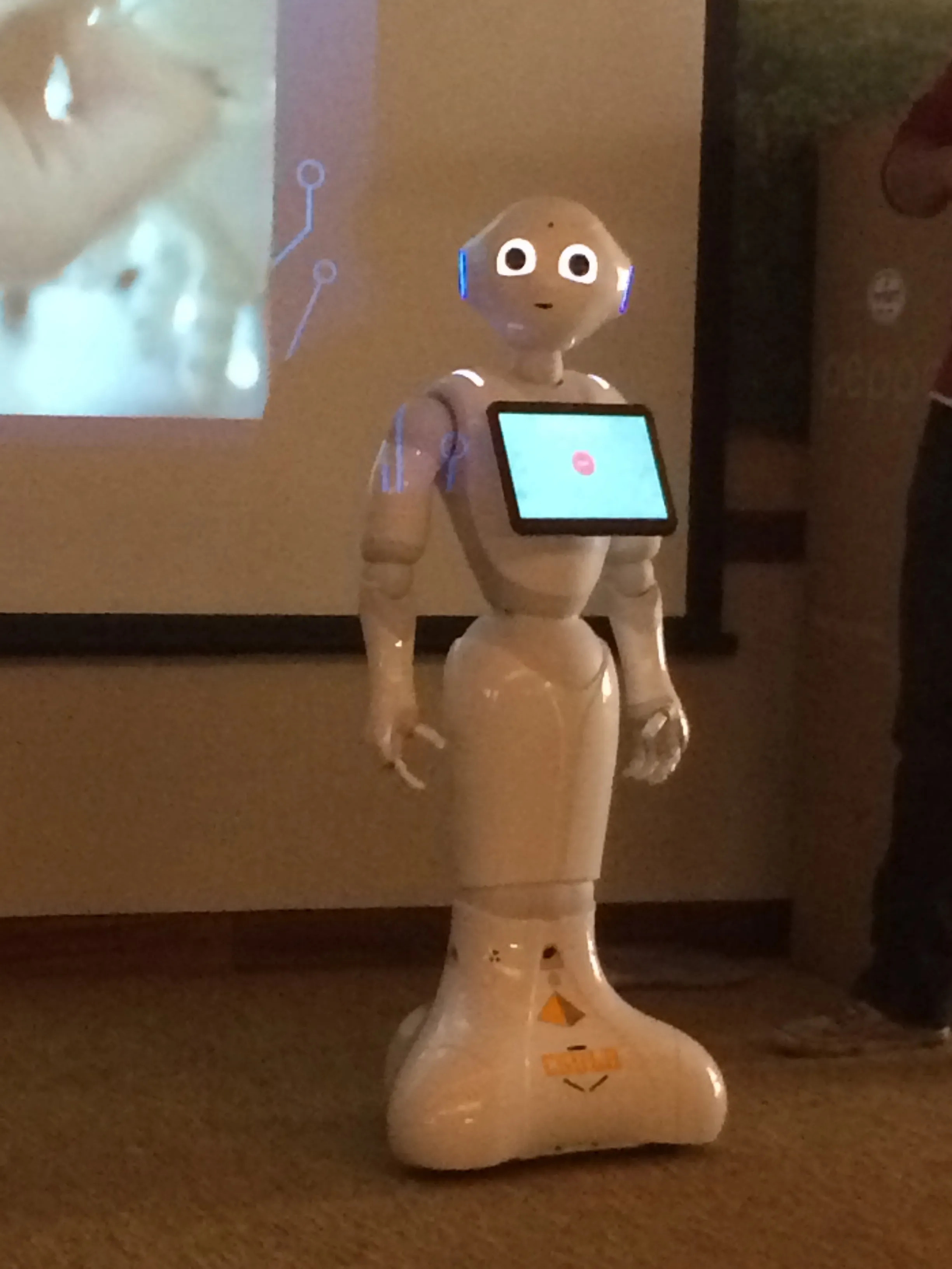 The Riverside Robotics Society project image